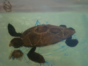 Dark brown turtle on light green background. It is swimming to the left of the canvas, and slightly towards the viewer.