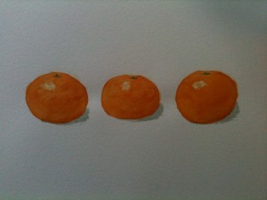 Three orange citrus fruit, work in watercolour