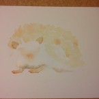 WiP watercolour hedgehog