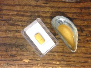 shell gold in a mussel shell and in bar form